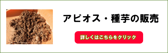 アピオス・種芋の販売ページ
